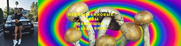 шишки Карталы