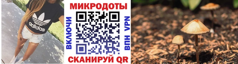 Галлюциногенные грибы Magic Shrooms  Кашира 