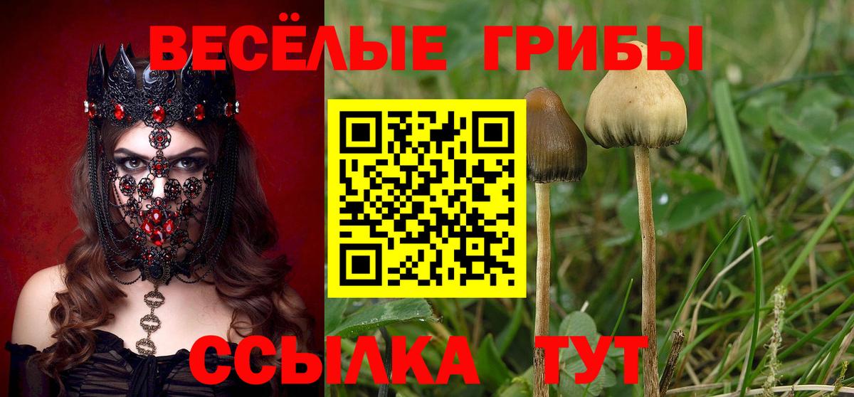 Галлюциногенные грибы Magic Shrooms  Вход с VPN  Кашира 